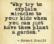 rooftop garden quote